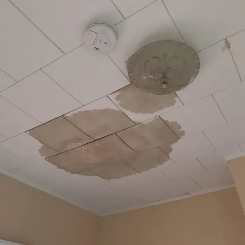 Ceiling Water Damage Repair in Chattanooga Valley, GA