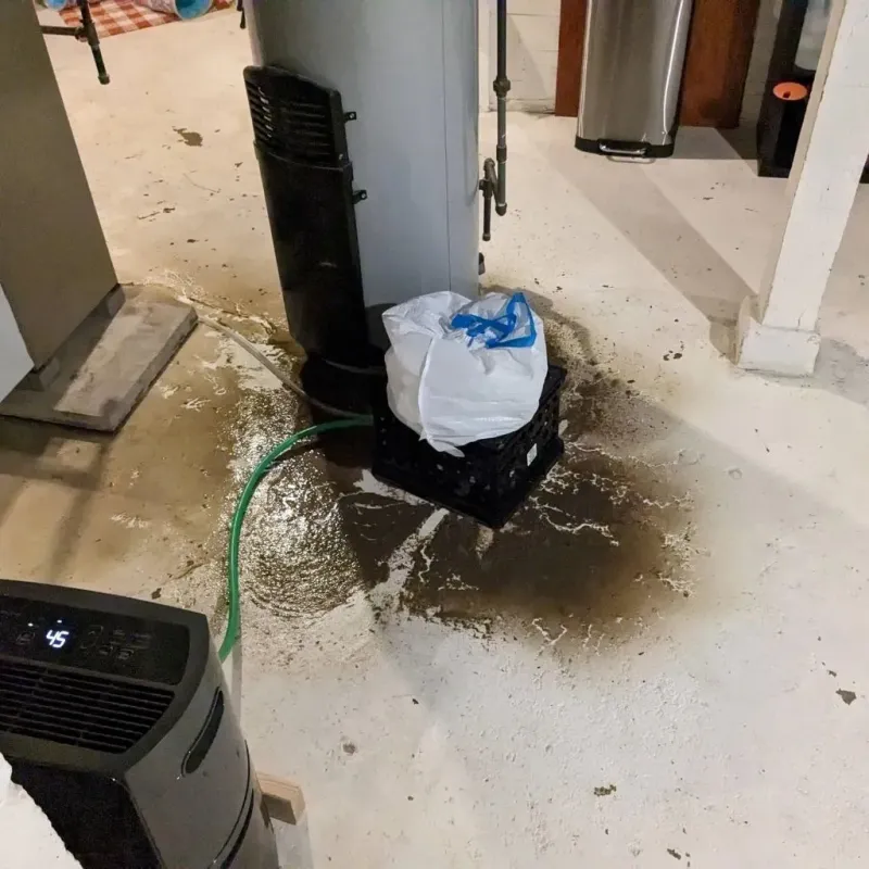Sewage Backup Cleanup Service in Chattanooga Valley, GA